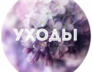 УХОДЫ