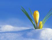 ВЕСЕННЕЕ ОБНОВЛЕНИЕ