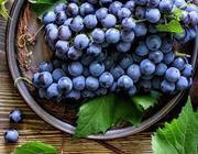 Виноградная сказка