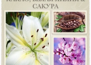 КАКАО,БЕЛАЯ ЛИЛИЯ& САКУРА