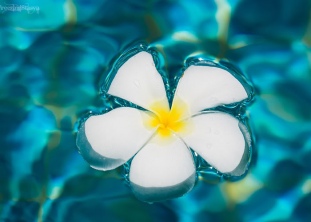 БЛАЖЕНСТВО