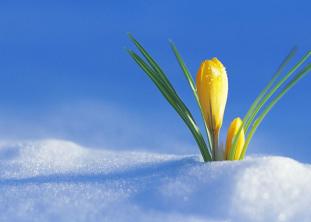 ВЕСЕННЕЕ ОБНОВЛЕНИЕ