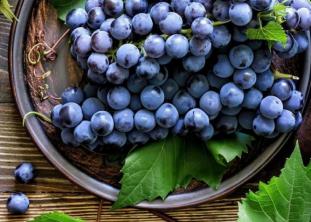 Виноградная сказка