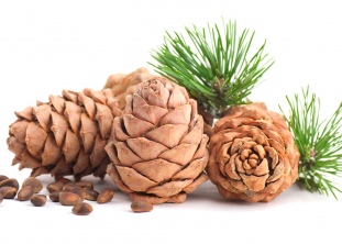 Кедровая бочка