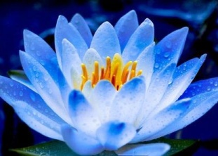 ВОЗРОЖДЕНИЕ